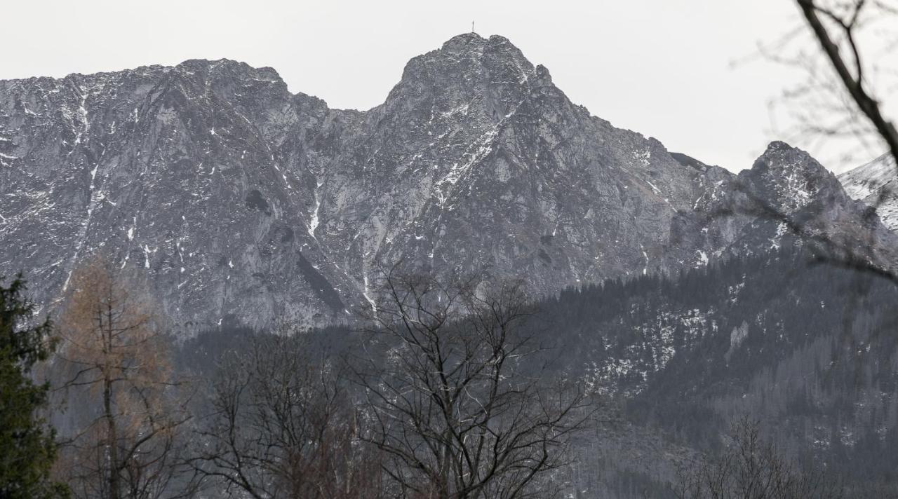 Twoja Chata Apartamenty Pod Niebem Zarezerwuj Na Podhalami Pl Kościelisko Exterior foto